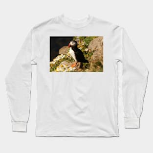 Wild life design Long Sleeve T-Shirt